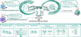 Graphical abstract of CIPM